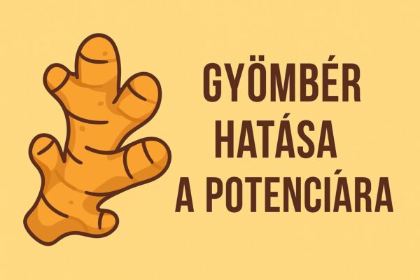 gyömbér hatása a potenciára